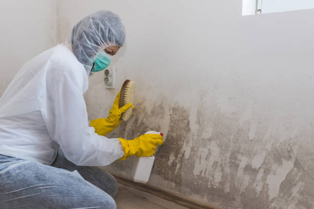 Best Mold Cleaning Services  in Carolina Forest, SC